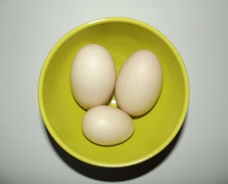 eggs-1673075_640